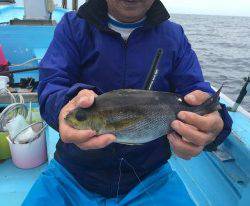 おざき丸 釣果