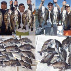 TOPGUN衣浦 釣果
