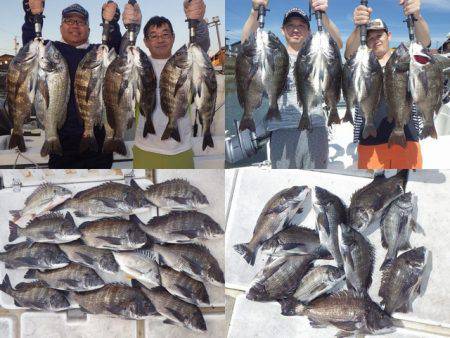 TOPGUN衣浦 釣果