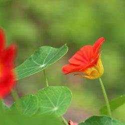 小菅トラウトガーデン 釣果