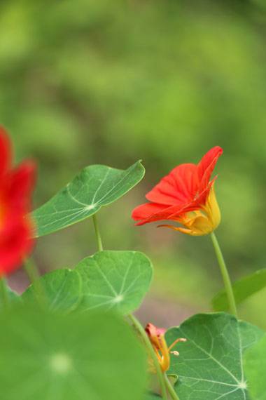 小菅トラウトガーデン 釣果