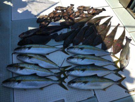 ふじしめ丸 釣果