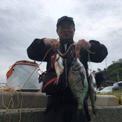 由良渡船 釣果