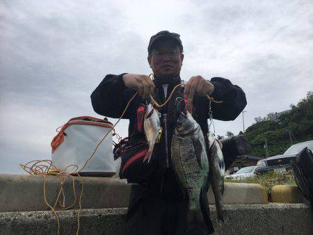 由良渡船 釣果