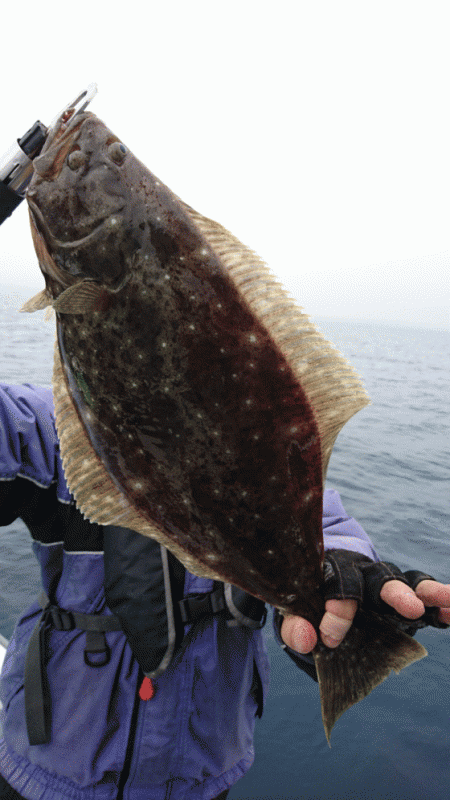 遊漁船ブルーウッズ 釣果