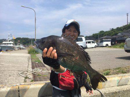 由良渡船 釣果