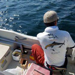 Magic（マジック） 釣果