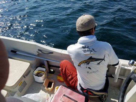 Magic（マジック） 釣果