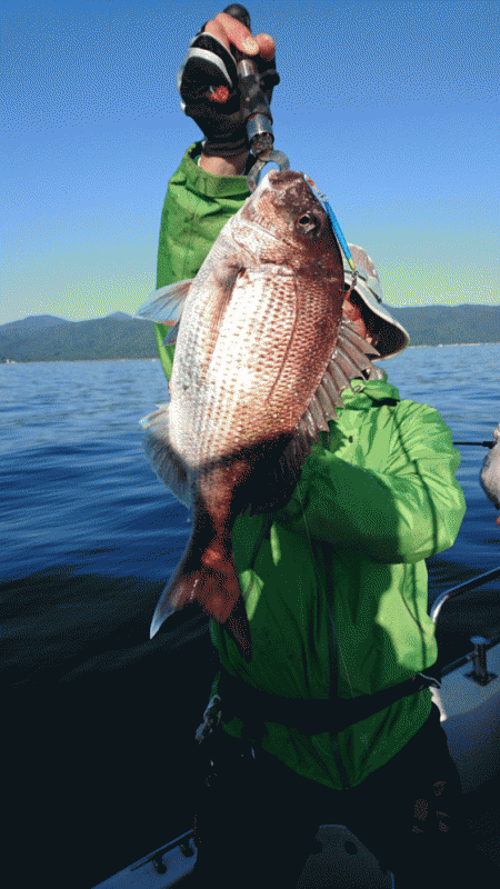 遊漁船ブルーウッズ 釣果