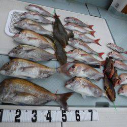 遊漁船 幸友丸 釣果