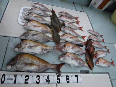 遊漁船 幸友丸 釣果