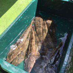 深川 吉野屋 釣果