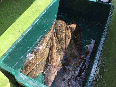 深川 吉野屋 釣果