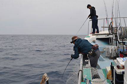 八海丸 釣果