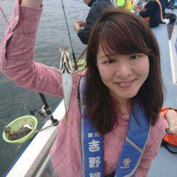 深川 吉野屋 釣果