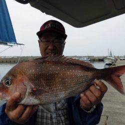 大進丸（新潟） 釣果