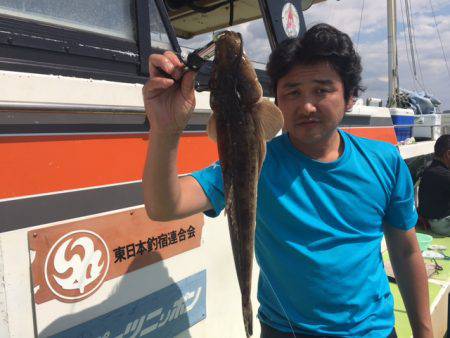 深川 吉野屋 釣果