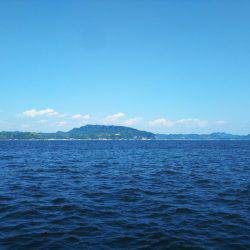 深川 吉野屋 釣果