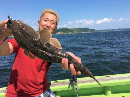 深川 吉野屋 釣果