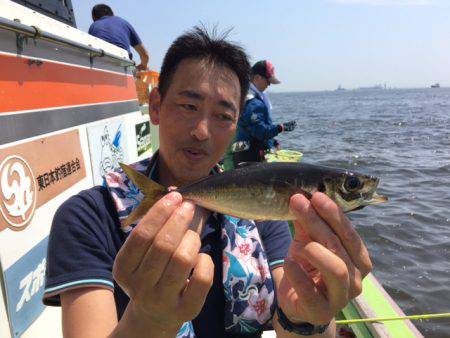 深川　吉野屋 釣果