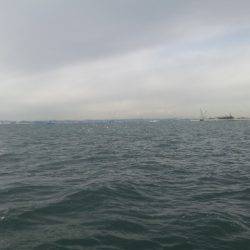 深川 吉野屋 釣果