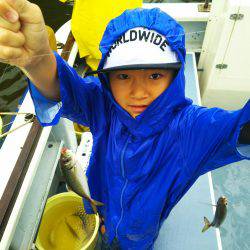 深川 吉野屋 釣果