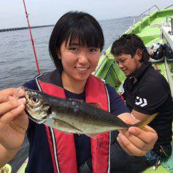 深川 吉野屋 釣果