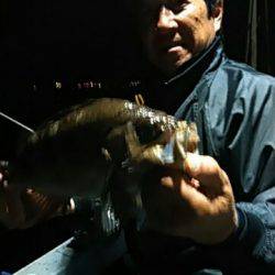 フィッシングガイド りょう 釣果