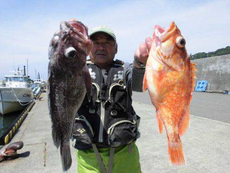 大進丸（新潟） 釣果