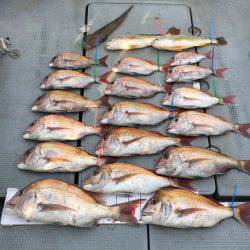 さんさん丸 釣果