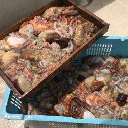 釣り船角田 釣果