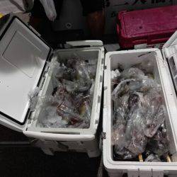 第二大福丸 釣果