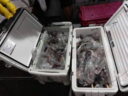 第二大福丸 釣果