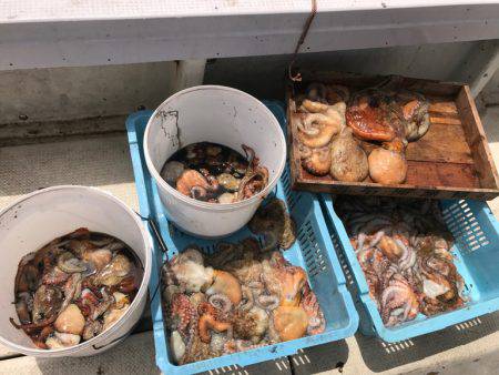 釣り船角田 釣果