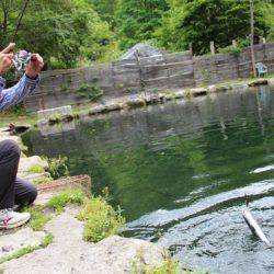 小菅トラウトガーデン 釣果