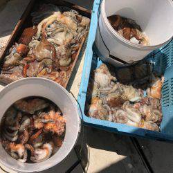 釣り船角田 釣果