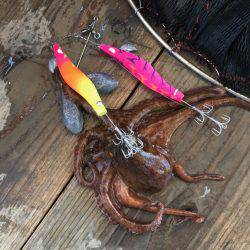 釣り船角田 釣果