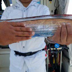 遊漁船 ニライカナイ 釣果