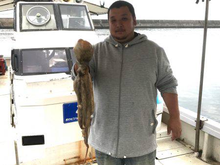 釣り船角田 釣果