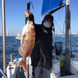 遊漁船高橋 釣果