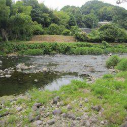 狩野川(狩野川漁業協同組合) 釣果