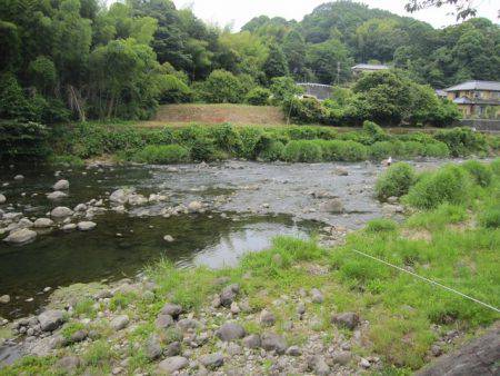 狩野川(狩野川漁業協同組合) 釣果