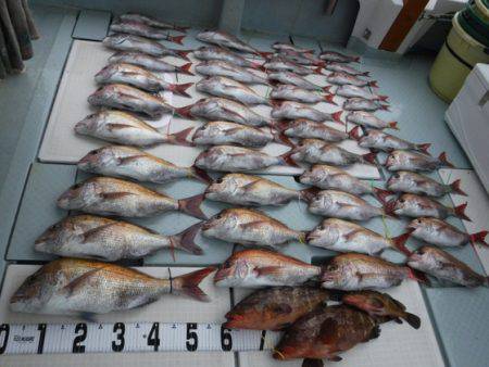 遊漁船 幸友丸 釣果