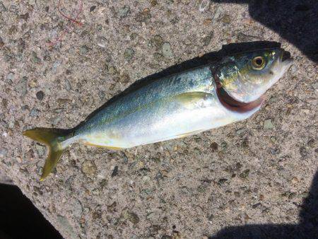 その瞬間は真昼間に