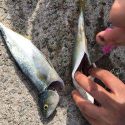 その瞬間は真昼間に