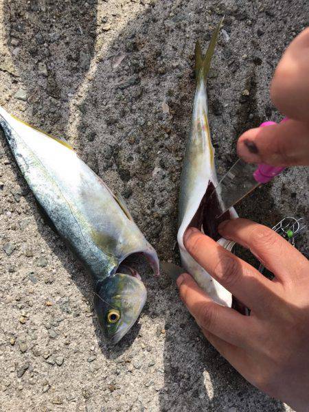 その瞬間は真昼間に