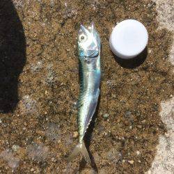 その瞬間は真昼間に