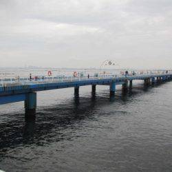 オリジナルメーカー海づり公園(市原市海づり施設) 釣果