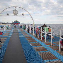 オリジナルメーカー海づり公園(市原市海づり施設) 釣果