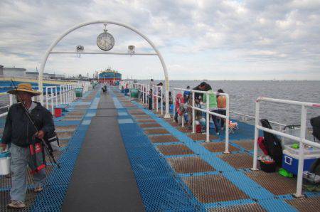 オリジナルメーカー海づり公園(市原市海づり施設) 釣果